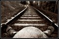 Picture Title - come on train'