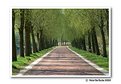 Picture Title - Canal road in spring