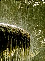 Picture Title - Water splash