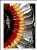 Indian Feather Abstract 2