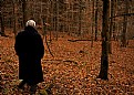 Picture Title - Autumn Walk