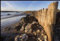 Picture Title - Whiting Bay 