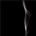 Picture Title - Veins