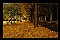 Picture Title - Autumn in Moscow