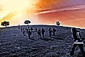 Picture Title - WALKING TO THE SUN