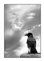 Picture Title - thoughts