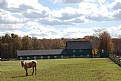 Picture Title - New Jersey Landscape