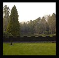 Picture Title - Trees and Lake on a Spring Afternoon