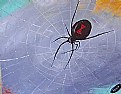 Picture Title - photo of itsy bitsy spider