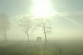 Picture Title - Misty morning