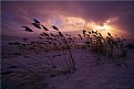 Picture Title - Winter Storm at Simcoe Lake