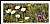 Alpine meadow