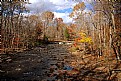 Picture Title - Fresh water stream