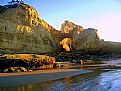 Picture Title - Pacific  City