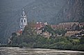 Picture Title - Wachau Valley at Dawn #1