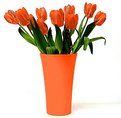 Picture Title - Orange tulips from Amsterdam