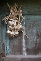 Picture Title - drying garlic