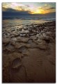 Picture Title - rocky shoreline