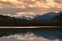 Picture Title - A silence in Jasper