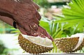 Picture Title - Durian