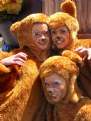 Picture Title - local bears at xmas parade