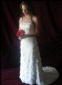 Picture Title - The Dress