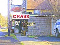 Picture Title - The Crab Pot