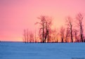 Picture Title - Winter Sunset