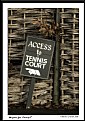 Picture Title - Anyone for Tennis?