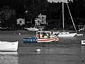Picture Title - Old Glory's Colors