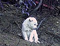 Picture Title - tara{a}