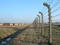 Picture Title - Auschwitz