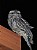 Tawny Frogmouth