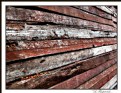 Picture Title - * lumber layers *