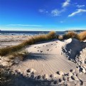 Picture Title - dune adventure