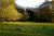 The park