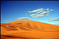 Picture Title - The desert
