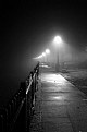 Picture Title - a walk in the fog