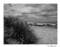 Picture Title - * seascape in b&w *