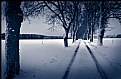 Picture Title - winter I