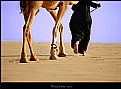Picture Title - a man from the desert