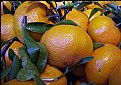 Picture Title - Tangerines