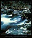 Picture Title - smoky mountain stream