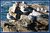 Gulls on Cape Kiwanda