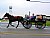 Amish Transportation