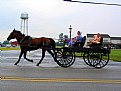 Picture Title - Amish Transportation