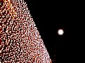 Picture Title - goodbye 2006
