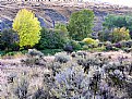 Picture Title - Mountain Foliage