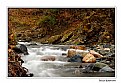 Picture Title - Stream and Autumn