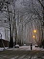 Picture Title - Snowy evening